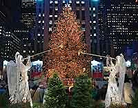 Гелиотехнологии помогут освещать рождественскую елку в Нью-Йорке  